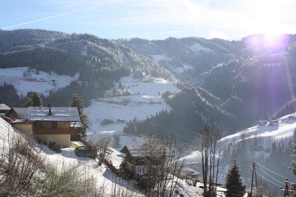 Muehlbach Alpendomizil II Apartment Muhlbach Am Hochkonig Exterior photo